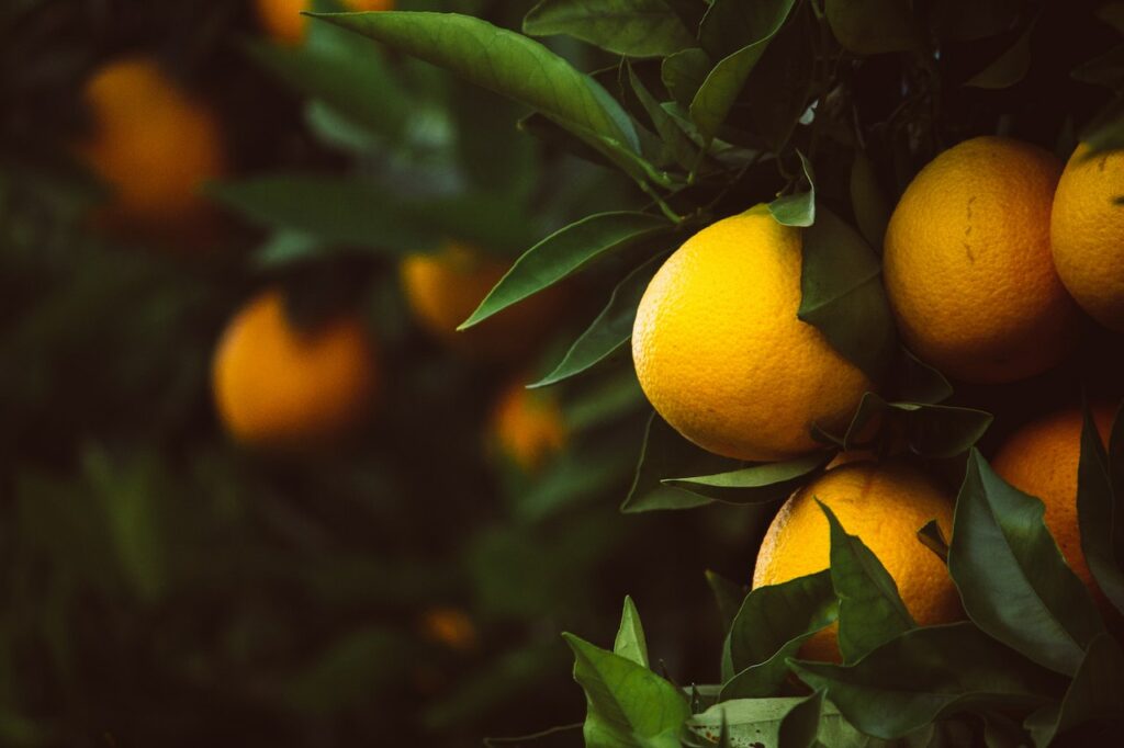 Fresh lemons are a wonderful summer fruit to cook gluten-free gnocchi with.